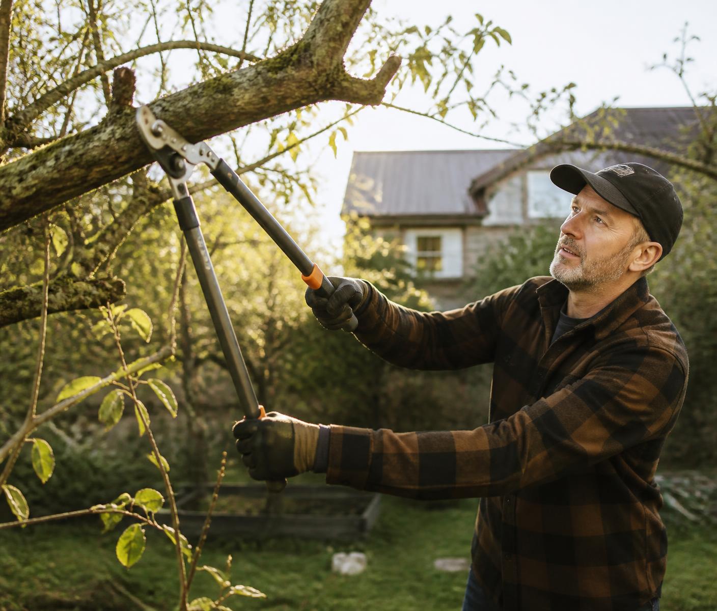 Gardener cutting a thick tree branch with long-handled bypass loppers